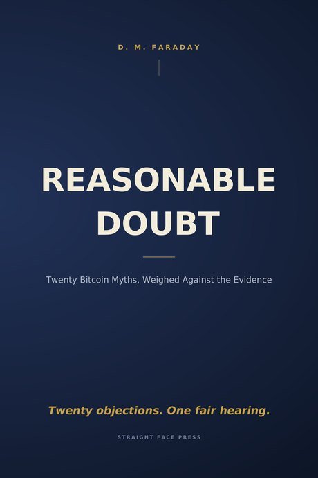 Cover of Reasonable Doubt by D. M. Faraday