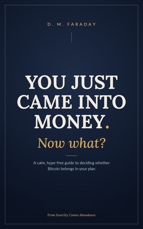 Cover of You Just Came Into Money. Now What? by D. M. Faraday